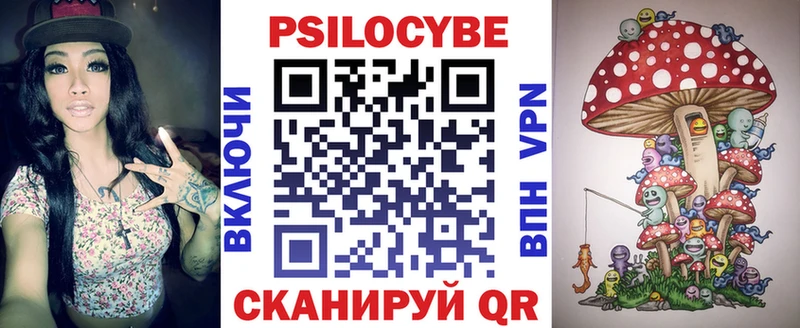 Купить где  Кукмор  Псилоцибиновые грибы Cubensis 